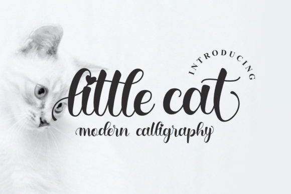 Little Cat: A Flowing Handwritten Font for Elegant Web Design