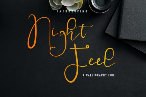 Night Feel: A Delicate Script Handwritten Font for Elegant Branding