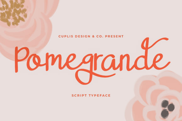 Pomegrande: A Delicate Script Handwritten Font for Scroll-Stopping Brand Content