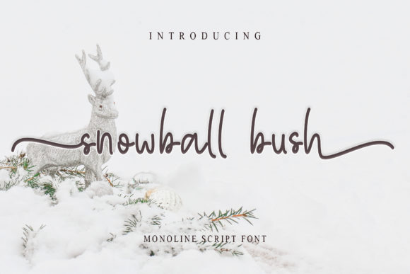 Snowball Bush: A Script Handwritten Font for Editorial Charm