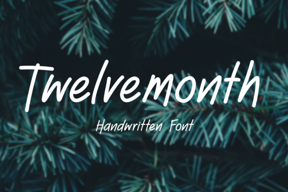 Twelve Month Font for Business Branding